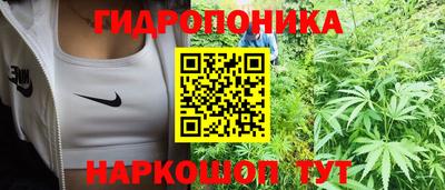 мет Новозыбков