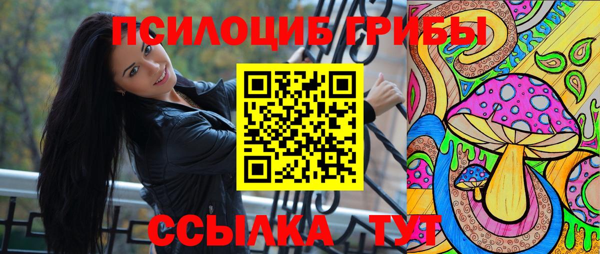 Псилоцибиновые грибы Cubensis Азов