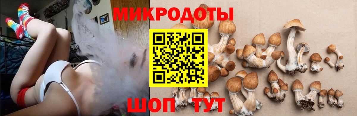 Азов  Галлюциногенные грибы MAGIC MUSHROOMS  наркотики  Вход с VPN 